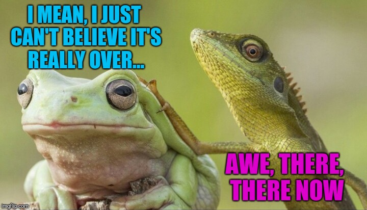 Thank you all for making Frog Week the most "ribbiting" week ever! And thanks again to giveuahint for rocking as co-host :-)  | I MEAN, I JUST CAN'T BELIEVE IT'S REALLY OVER... AWE, THERE, THERE NOW | image tagged in frog week,jbmemegeek,giveuahint,frogs,funny animals | made w/ Imgflip meme maker