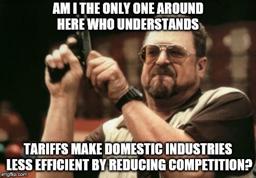 Am I The Only One Around Here Meme | AM I THE ONLY ONE AROUND HERE WHO UNDERSTANDS; TARIFFS MAKE DOMESTIC INDUSTRIES LESS EFFICIENT BY REDUCING COMPETITION? | image tagged in memes,am i the only one around here | made w/ Imgflip meme maker