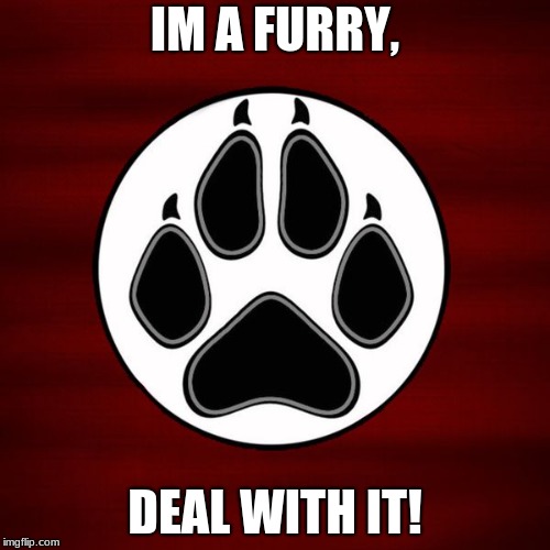 proud to be furry | IM A FURRY, DEAL WITH IT! | image tagged in furry,proud | made w/ Imgflip meme maker