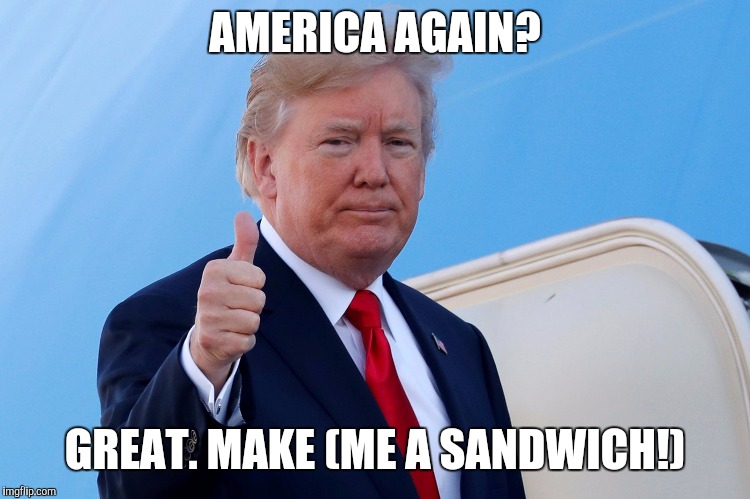 AMERICA AGAIN? GREAT. MAKE (ME A SANDWICH!) | made w/ Imgflip meme maker