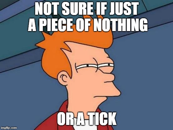 Futurama Fry Meme | NOT SURE IF JUST A PIECE OF NOTHING; OR A TICK | image tagged in memes,futurama fry | made w/ Imgflip meme maker