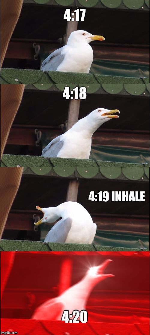 Inhaling Seagull Meme | 4:17; 4:18; 4:19 INHALE; 4:20 | image tagged in memes,inhaling seagull | made w/ Imgflip meme maker