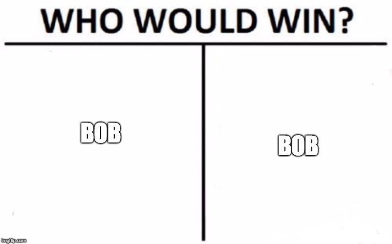 bob | BOB; BOB | image tagged in memes,who would win | made w/ Imgflip meme maker