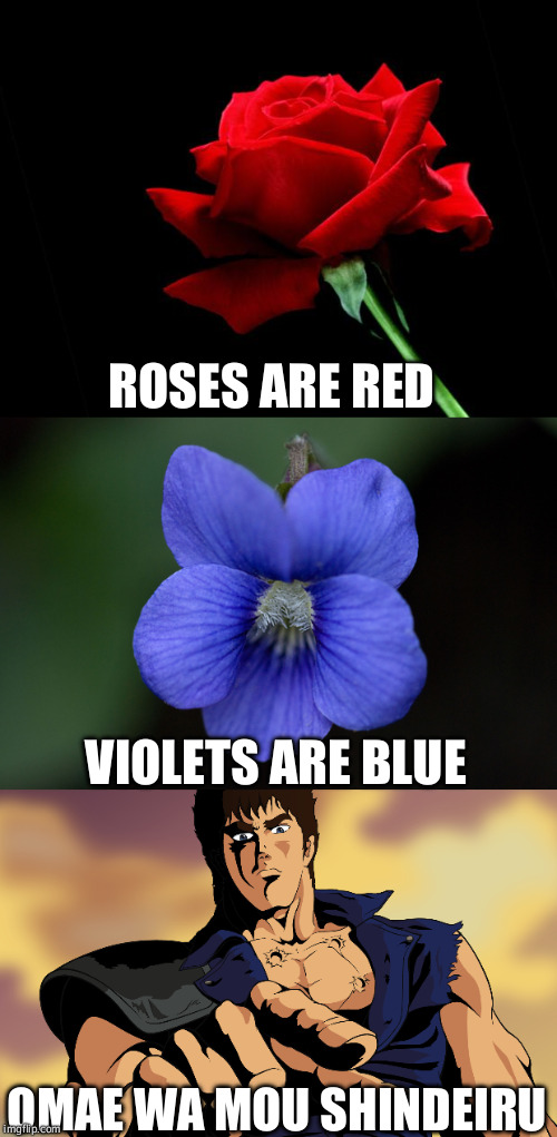 NANI?! | ROSES ARE RED; VIOLETS ARE BLUE; OMAE WA MOU SHINDEIRU | image tagged in rose,violet,fist of the north star,hokuto no ken,anime | made w/ Imgflip meme maker