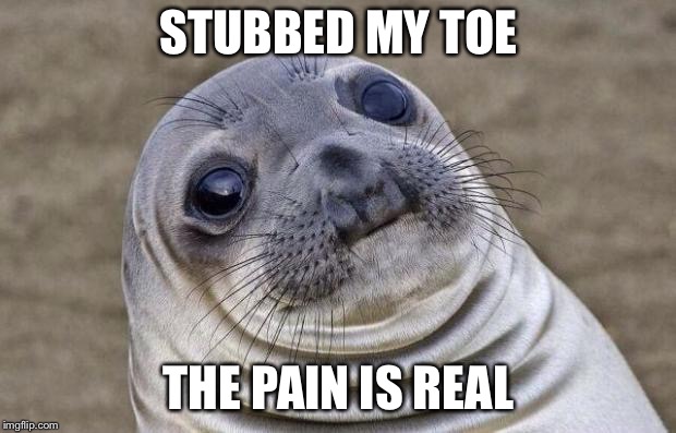 Awkward Moment Sealion Meme | STUBBED MY TOE; THE PAIN IS REAL | image tagged in memes,awkward moment sealion | made w/ Imgflip meme maker