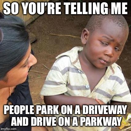 Third World Skeptical Kid | SO YOU’RE TELLING ME; PEOPLE PARK ON A DRIVEWAY AND DRIVE ON A PARKWAY | image tagged in memes,third world skeptical kid | made w/ Imgflip meme maker
