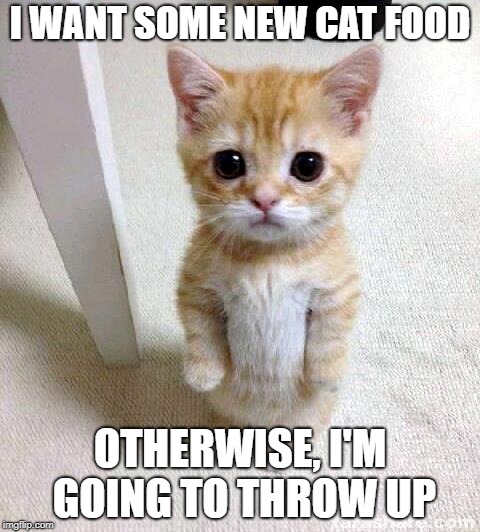 New Cat Food Now! | I WANT SOME NEW CAT FOOD; OTHERWISE, I'M GOING TO THROW UP | image tagged in memes,cute cat | made w/ Imgflip meme maker