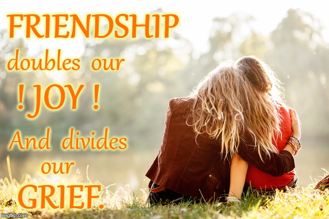 Friendship Doubles & Divides | FRIENDSHIP; doubles  our; ! JOY ! And  divides; our; GRIEF. | image tagged in friendship,doubles joy,half the grief | made w/ Imgflip meme maker