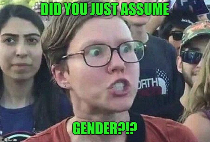 DID YOU JUST ASSUME GENDER?!? | made w/ Imgflip meme maker