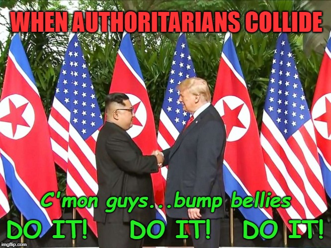 Birds of a Feather | WHEN AUTHORITARIANS COLLIDE; C'mon guys...bump bellies; DO IT!    DO IT!   DO IT! | image tagged in trump,kim jong un,north korea,democracy | made w/ Imgflip meme maker