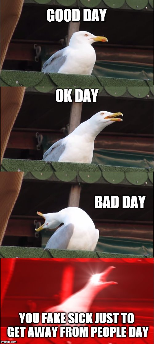 Inhaling Seagull Meme | GOOD DAY; OK DAY; BAD DAY; YOU FAKE SICK JUST TO GET AWAY FROM PEOPLE DAY | image tagged in memes,inhaling seagull | made w/ Imgflip meme maker
