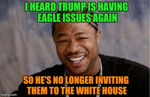 First the bald eagle and now the nfl franchise | I HEARD TRUMP IS HAVING EAGLE ISSUES AGAIN; SO HE'S NO LONGER INVITING THEM TO THE WHITE HOUSE | image tagged in memes,yo dawg heard you | made w/ Imgflip meme maker