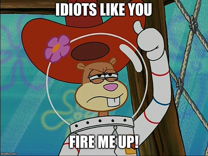 Idiots like you fire me up! | IDIOTS LIKE YOU; FIRE ME UP! | image tagged in sandy cheeks,memes,spongebob squarepants,sandy cheeks cowboy hat,funny,sandy cheeks peeved | made w/ Imgflip meme maker