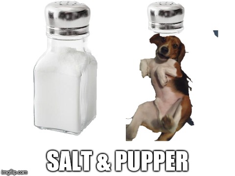 SALT & PUPPER | SALT & PUPPER | image tagged in salt,pepper,pupper,cute dog,funny | made w/ Imgflip meme maker