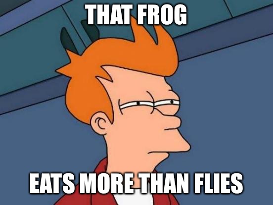 Futurama Fry Meme | THAT FROG EATS MORE THAN FLIES | image tagged in memes,futurama fry | made w/ Imgflip meme maker