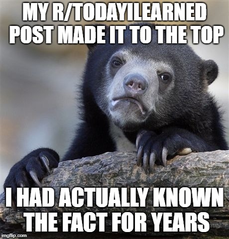 Confession Bear Meme | MY R/TODAYILEARNED POST MADE IT TO THE TOP; I HAD ACTUALLY KNOWN THE FACT FOR YEARS | image tagged in memes,confession bear,AdviceAnimals | made w/ Imgflip meme maker