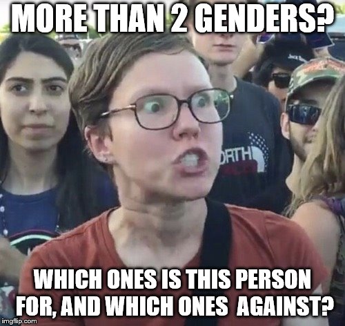 Triggered feminist | MORE THAN 2 GENDERS? WHICH ONES IS THIS PERSON FOR, AND WHICH ONES  AGAINST? | image tagged in triggered feminist | made w/ Imgflip meme maker