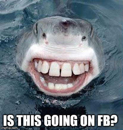 Selfie shark | IS THIS GOING ON FB? | image tagged in selfie,selfies,shark,shark week | made w/ Imgflip meme maker