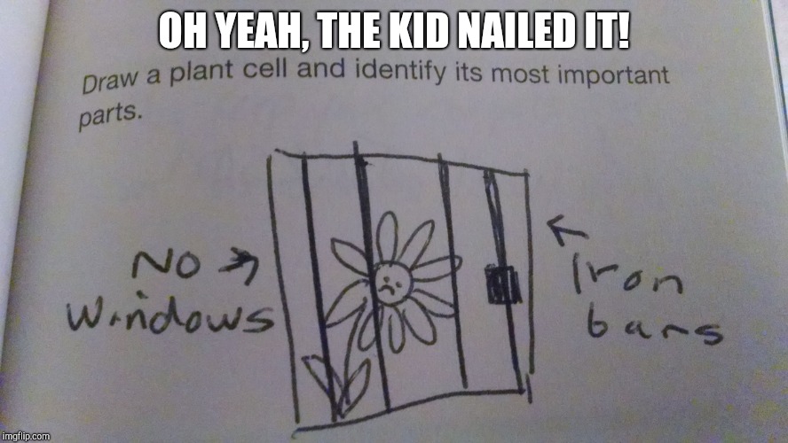 OH YEAH, THE KID NAILED IT! | image tagged in nailed it,funny,school exam | made w/ Imgflip meme maker