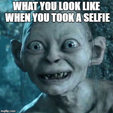 Gollum Meme | WHAT YOU LOOK LIKE WHEN YOU TOOK A SELFIE | image tagged in memes,gollum | made w/ Imgflip meme maker