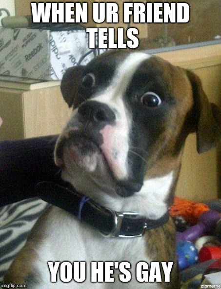 Funny Dog | WHEN UR FRIEND TELLS; YOU HE'S GAY | image tagged in funny dog | made w/ Imgflip meme maker