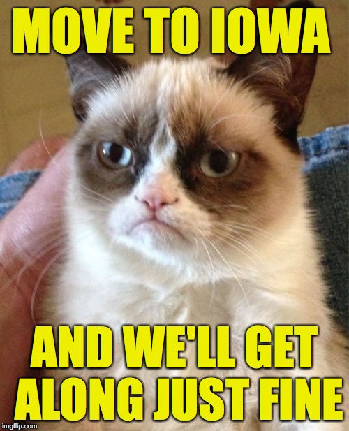 Grumpy Cat | MOVE TO IOWA; AND WE'LL GET ALONG JUST FINE | image tagged in memes,grumpy cat | made w/ Imgflip meme maker