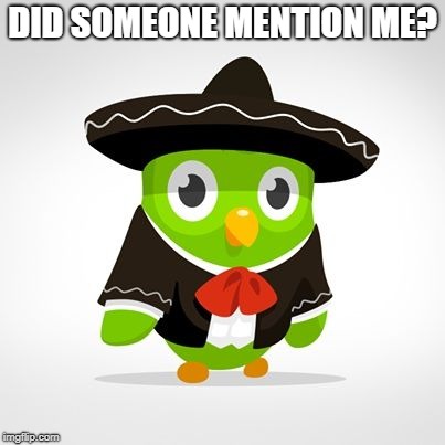 DID SOMEONE MENTION ME? | image tagged in duo | made w/ Imgflip meme maker
