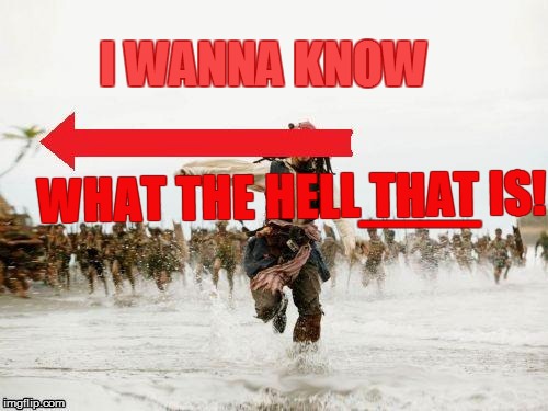 I WANNA KNOW WHAT THE HELL THAT IS! __ | made w/ Imgflip meme maker
