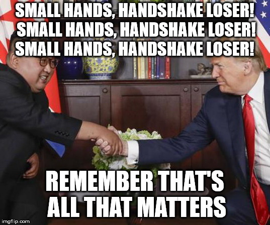 Small hands, handshake loser  | SMALL HANDS, HANDSHAKE LOSER! SMALL HANDS, HANDSHAKE LOSER! SMALL HANDS, HANDSHAKE LOSER! REMEMBER THAT'S ALL THAT MATTERS | image tagged in small hands,trump,kim jong un | made w/ Imgflip meme maker