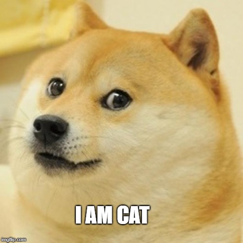 Doge | I AM CAT | image tagged in memes,doge | made w/ Imgflip meme maker