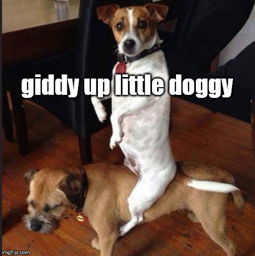 giddy up little doggy | made w/ Imgflip meme maker