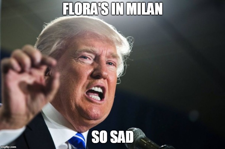 donald trump | FLORA'S IN MILAN; SO SAD | image tagged in donald trump | made w/ Imgflip meme maker