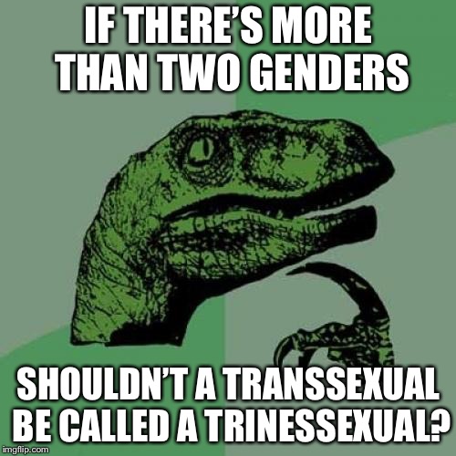 Philosoraptor | IF THERE’S MORE THAN TWO GENDERS; SHOULDN’T A TRANSSEXUAL BE CALLED A TRINESSEXUAL? | image tagged in memes,philosoraptor | made w/ Imgflip meme maker