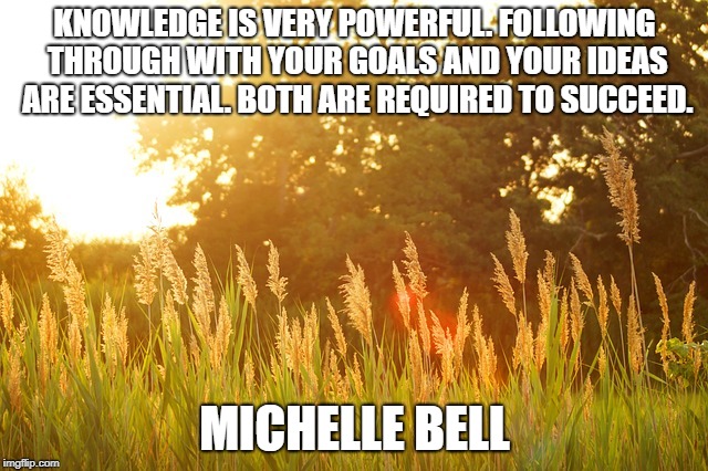 Sunshine  | KNOWLEDGE IS VERY POWERFUL. FOLLOWING THROUGH WITH YOUR GOALS AND YOUR IDEAS ARE ESSENTIAL. BOTH ARE REQUIRED TO SUCCEED. MICHELLE BELL | image tagged in sunshine | made w/ Imgflip meme maker