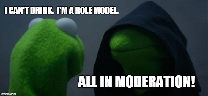 Evil Kermit Meme | I CAN'T DRINK.  I'M A ROLE MODEL. ALL IN MODERATION! | image tagged in memes,evil kermit | made w/ Imgflip meme maker