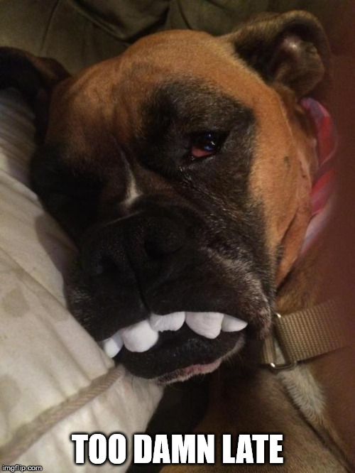 So Sleepy | TOO DAMN LATE | image tagged in so sleepy | made w/ Imgflip meme maker