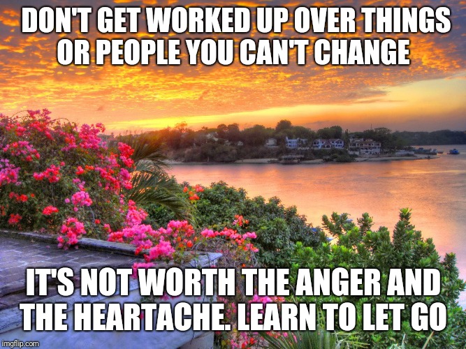 DON'T GET WORKED UP OVER THINGS OR PEOPLE YOU CAN'T CHANGE; IT'S NOT WORTH THE ANGER AND THE HEARTACHE. LEARN TO LET GO | image tagged in self | made w/ Imgflip meme maker