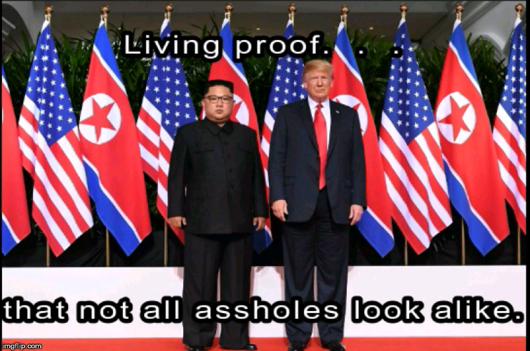 living proof | image tagged in kim jong un,donald trump,society,politics lol,two dictators,kim jong un sad | made w/ Imgflip meme maker