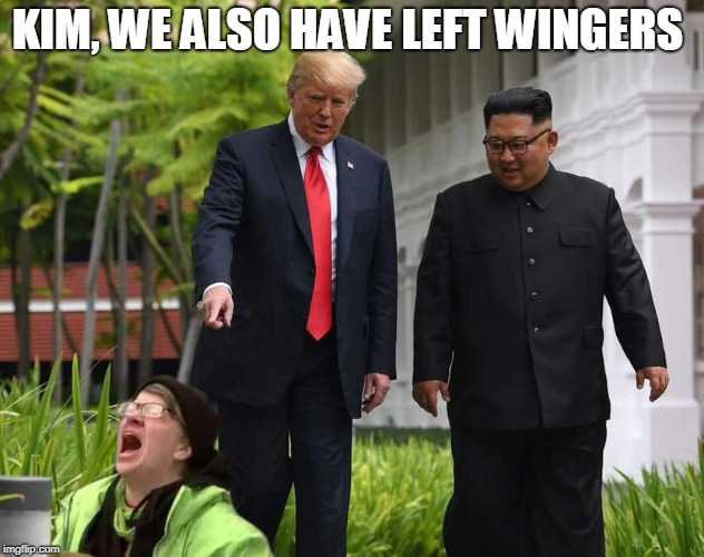 KIM, WE ALSO HAVE LEFT WINGERS | image tagged in trump  kim pointing at liberal | made w/ Imgflip meme maker