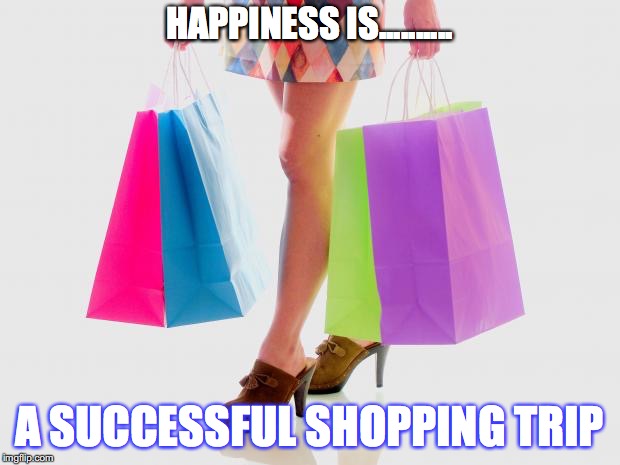  HAPPINESS IS.......... A SUCCESSFUL SHOPPING TRIP | image tagged in how is shopping | made w/ Imgflip meme maker