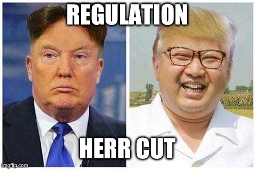 REGULATION; HERR CUT | image tagged in kim jong trump | made w/ Imgflip meme maker