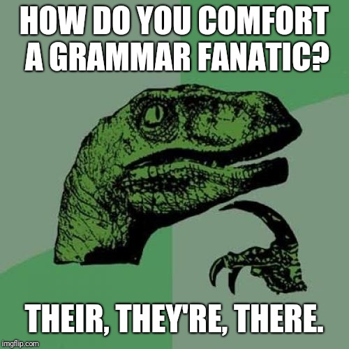 Philosoraptor | HOW DO YOU COMFORT A GRAMMAR FANATIC? THEIR, THEY'RE, THERE. | image tagged in memes,philosoraptor | made w/ Imgflip meme maker