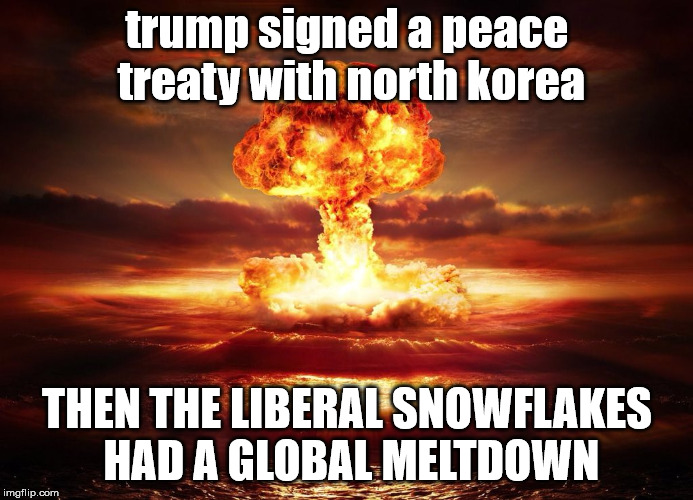 trump signed a peace treaty with north korea; THEN THE LIBERAL SNOWFLAKES HAD A GLOBAL MELTDOWN | made w/ Imgflip meme maker