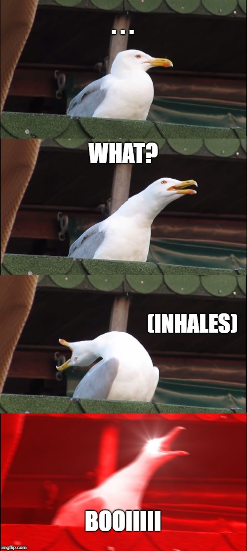 Inhaling Seagull | . . . WHAT? (INHALES); BOOIIIII | image tagged in memes,inhaling seagull | made w/ Imgflip meme maker