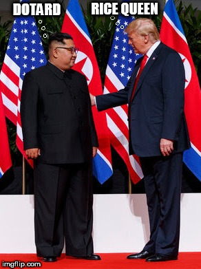 Kim and Trump Dotard and Rice Queen | RICE QUEEN; DOTARD | image tagged in trump,donald trump,kim,kim jong un,dotard | made w/ Imgflip meme maker