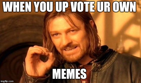 One Does Not Simply Meme | WHEN YOU UP VOTE UR OWN; MEMES | image tagged in memes,one does not simply | made w/ Imgflip meme maker