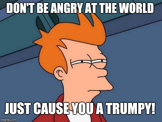 Futurama Fry Meme | DON'T BE ANGRY AT THE WORLD JUST CAUSE YOU A TRUMPY! | image tagged in memes,futurama fry | made w/ Imgflip meme maker