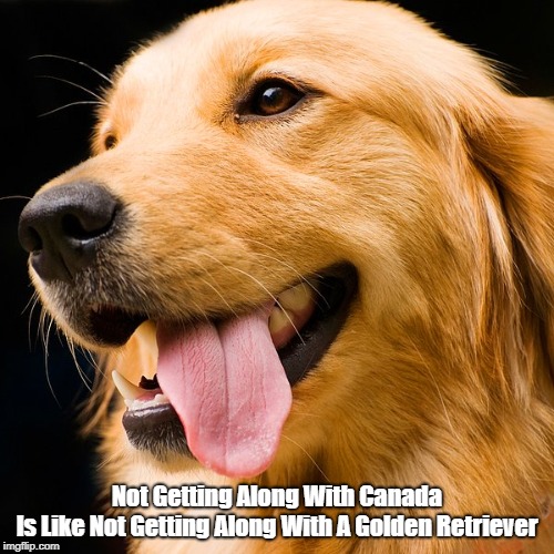 Not Getting Along With Canada Is Like Not Getting Along With A Golden Retriever | made w/ Imgflip meme maker