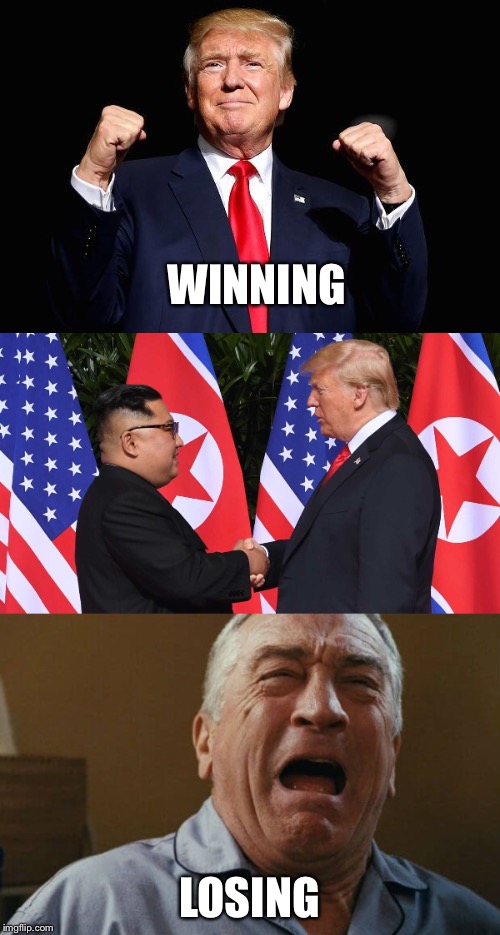 Trump De Niro  | WINNING; LOSING | image tagged in trump,de niro,winning,losing | made w/ Imgflip meme maker