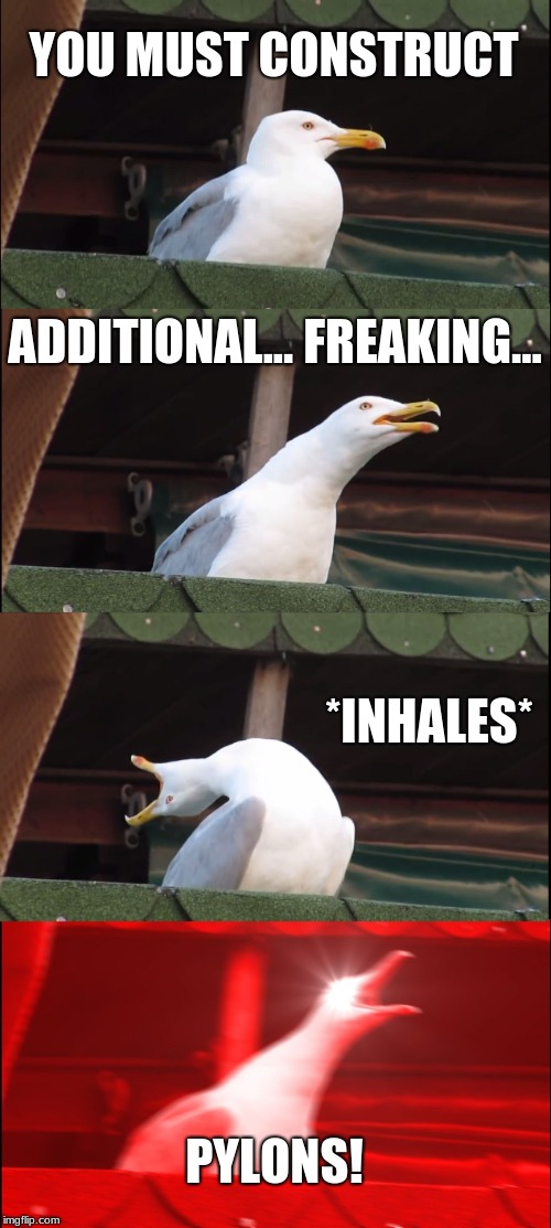 Inhaling Seagull | YOU MUST CONSTRUCT; ADDITIONAL... FREAKING... *INHALES*; PYLONS! | image tagged in memes,inhaling seagull | made w/ Imgflip meme maker